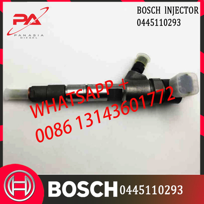 044511029 Fuel Injection Common Rail Fuel Injector For Bosch 1112100-E06