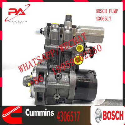 fuel injection system Hot sale original fuel injection pump 4306517 diesel fuel pump for trucks