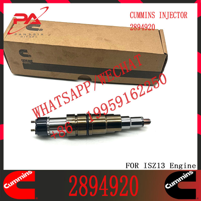 common rail injector 2894920 1948565 2029622 2057401 2897320 1933613 2030519 2031836 1881565 for diesel fuel engine DC13