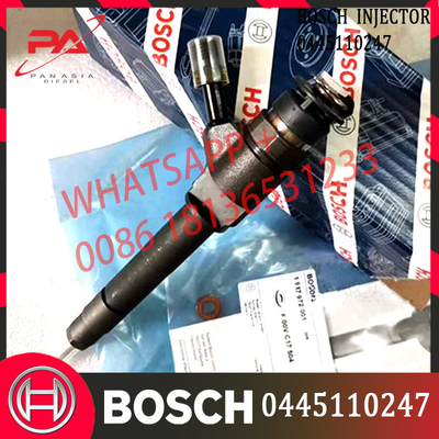 0445110247 504380117 Genuine Common Rail Injector For IVEICO Diaily Hyiunidai HD78