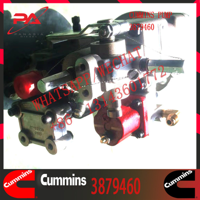 Cummins Diesel Engine Fuel System parts Fuel Pump 3879460