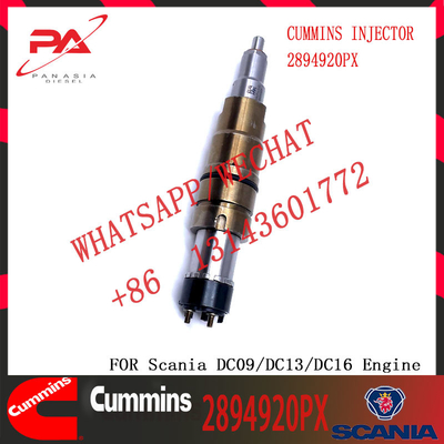 Hot-selling new Diesel common rail Fuel Injector 2894920PX 2894920