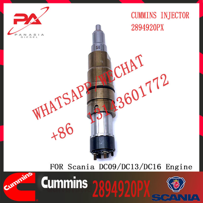 Hot-selling new Diesel common rail Fuel Injector 2894920PX 2894920