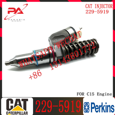 C-aterpillar C15 C18 Diesel Common Fuel Injectors 10R-1000 229-5919 for C-at excavator