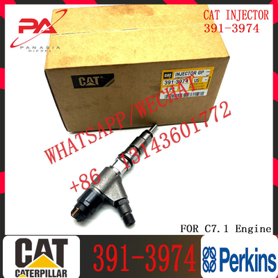 C-aterpillar Excavator Common Rail Fuel Injector 0445120348 20R-4560 391-3974 for C-AT car