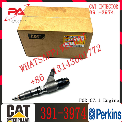 High quality Diesel Injector 391-3974 3913974 254-4399 2544399 265-8106 2658106