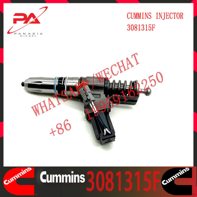 Common Rail Diesel Fuel Injector 3411760 3411762 4307516N 3411767T 3407776 3081315F 3409975 For Cummins QSN14 N14