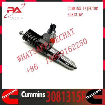Common Rail Diesel Fuel Injector 3411760 3411762 4307516N 3411767T 3407776 3081315F 3409975 For Cummins QSN14 N14