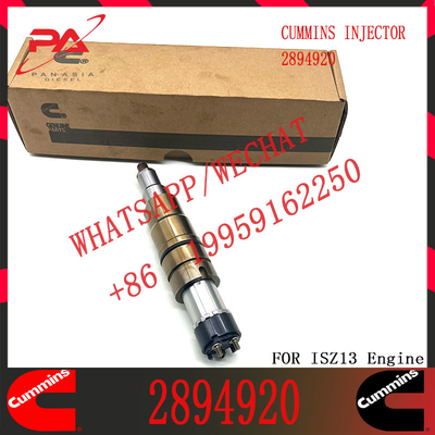 common rail injector 2894920 1948565 2029622 2057401 2897320 1933613 2030519 2031836 1881565 for diesel fuel engine DC13