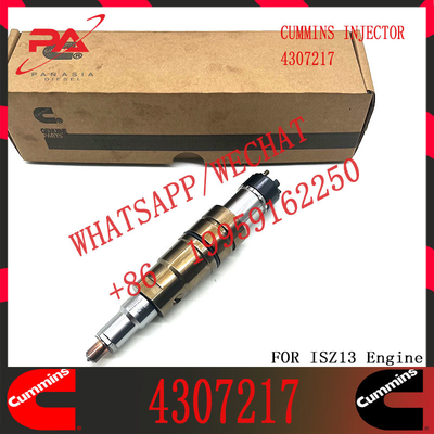 common rail injector 4307217 2029622 2057401 2419679 4905880 2894920PX 2482244 2488244 for diesel fuel engine DC13