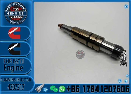 factory fuel injector assembly CRDI 2872544 2872405 2894920 4307217 5491721 4326959 for Cummins Scania XPI injector