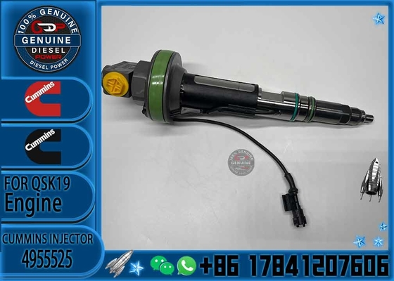 NINE BRAND high quality diesel injector 4955525 Qsk19 injector fuel injector 4955525