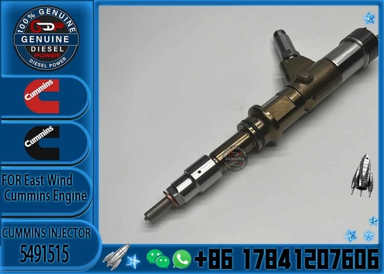 4307475 4307468 5461710 5491515 Common Rail Injector For ISG Excavator Engine