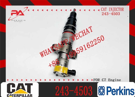 Diesel Engine Parts Common Rail Fuel Injector 243-4503 for CAT C7 Diesel Engine CNDIP Factory price