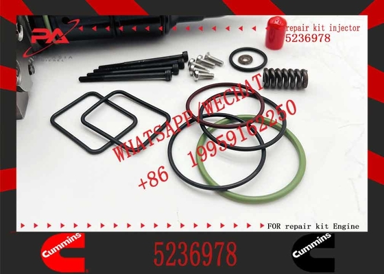 Diesel Engine S60 Fuel Injector 5235600 5235695 5236980 5236978 5235605 5236347 5235915 5237320 5235550 5237650