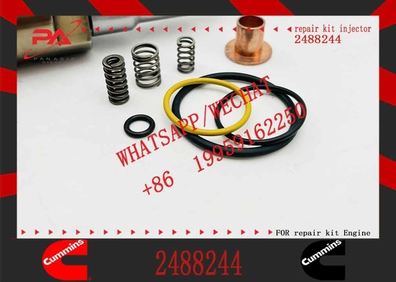 Common RailDiesel Injector 2488244 Engine DC09/DC13/DC16 for Scania