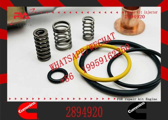 Factory wholesale ISX15 QSX15 XPI injector 5579415 2894920 4327147/2897320/2872405/4307217 for Cum-mins isx15 engine