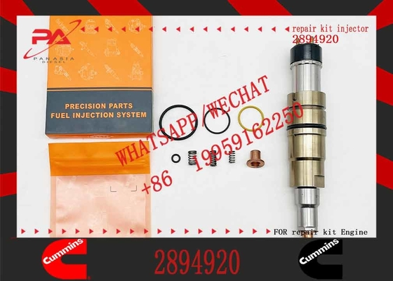Factory wholesale ISX15 QSX15 XPI injector 5579415 2894920 4327147/2897320/2872405/4307217 for Cum-mins isx15 engine