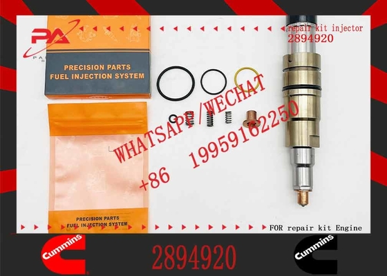 Factory wholesale ISX15 QSX15 XPI injector 5579415 2894920 4327147/2897320/2872405/4307217 for Cum-mins isx15 engine