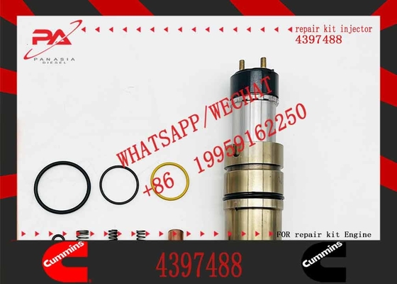 2897320 2872405 DC09 Fuel Injector 575177 4397488 DC13 DC16 Engine Parts 2086663 2419679 2029622