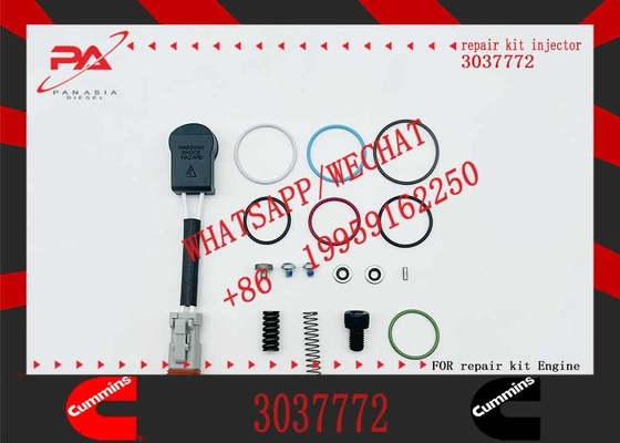 Common rail injector fuel injecto 3411752 3411761 4307547 4928171 3411753 3037772 for M11 Excavator