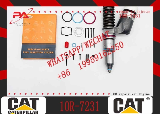 Cat Engine Parts 10r-3262 C11 C13 Fuel Injector 2490713 249-0713 For Caterpillar C13