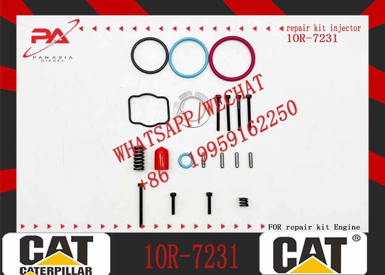Cat Engine Parts 10r-3262 C11 C13 Fuel Injector 2490713 249-0713 For Caterpillar C13
