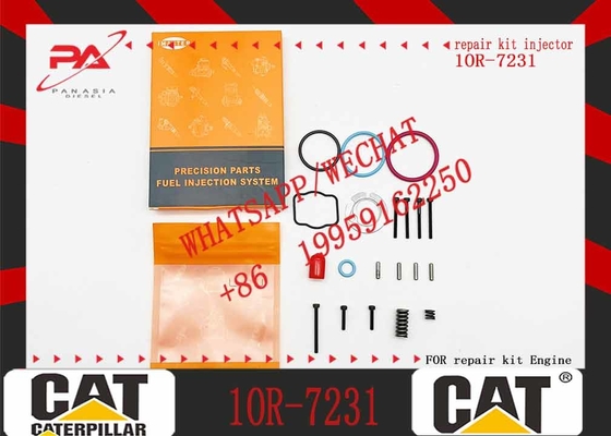 Cat Engine Parts 10r-3262 C11 C13 Fuel Injector 2490713 249-0713 For Caterpillar C13