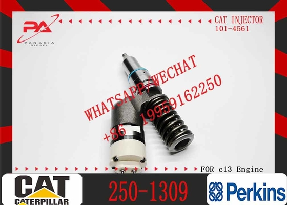 Excavator Fuel Injector 249-0713 CAT C13 C11Diesel Engine Parts Common Rail Fuel Injector 2490713