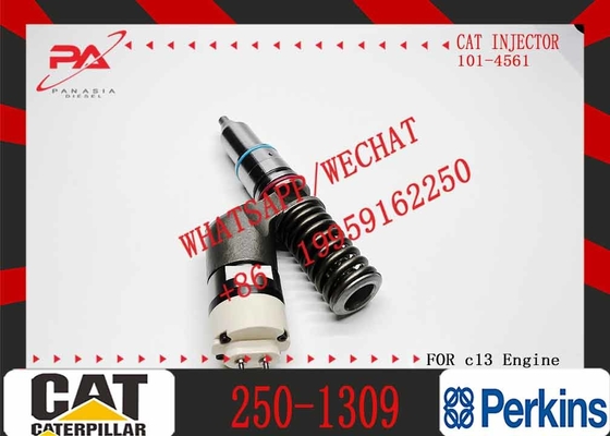 Excavator Fuel Injector 249-0713 CAT C13 C11Diesel Engine Parts Common Rail Fuel Injector 2490713