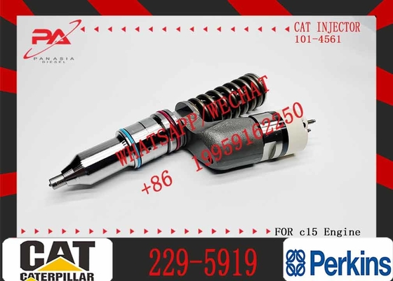 High Quality Excavator Parts 229-5919 Fuel Injector 229-5919 10R-1000 10R-1000 Fits CAT C18 C15 C12 C13 3406E Series
