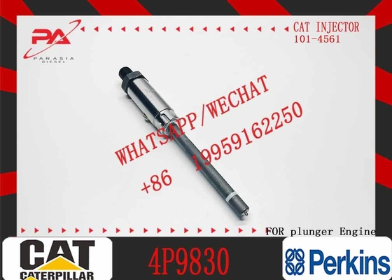 Construction Machinery Parts Fuel Injection Pump Plunger 4P9830 1W6541 7W5929 for Caterpillar Cat Engine 3304 3306 Plunger