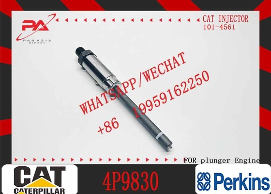 Construction Machinery Parts Fuel Injection Pump Plunger 4P9830 1W6541 7W5929 for Caterpillar Cat Engine 3304 3306 Plunger