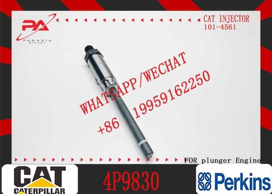 Construction Machinery Parts Fuel Injection Pump Plunger 4P9830 1W6541 7W5929 for Caterpillar Cat Engine 3304 3306 Plunger