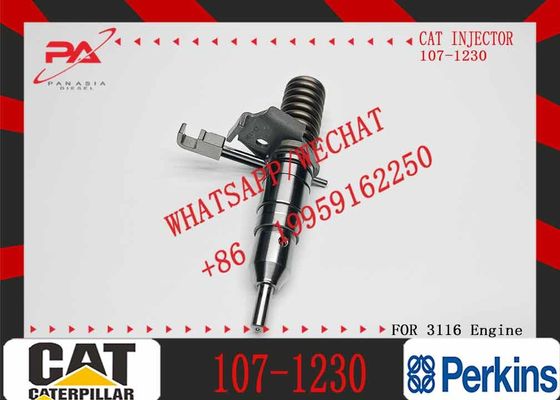 Hot Sale Diesel Fuel Injector 101-8673 107-7733 107-1230 127-8205 127-8207 127-8209 for CAT 3116 Injector Auto Spare Parts