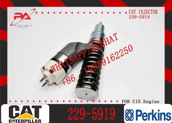 10R-1000 10R1000 229-5919 Fuel Injector for Caterpillar CAT