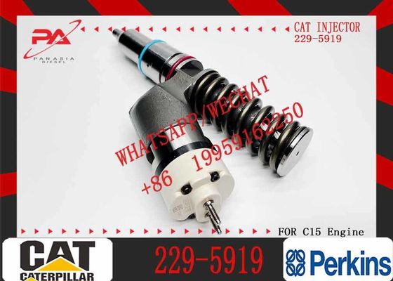 10R-1000 10R1000 229-5919 Fuel Injector for Caterpillar CAT