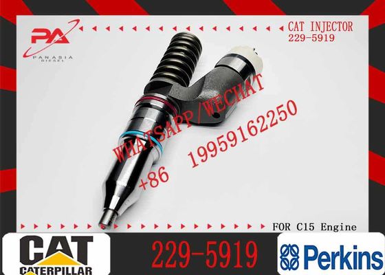 10R-1000 10R1000 229-5919 Fuel Injector for Caterpillar CAT