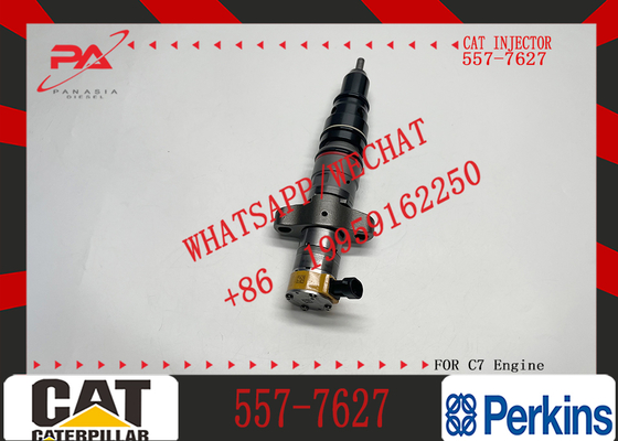 Diesel Engine Injector20R-8067 557-7627 243-4503 20R-9079 2OR-8071 328-2582 295-9166For Caterpillar C7 Common Rail
