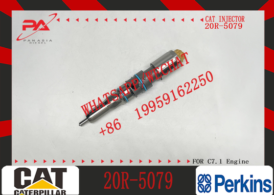 For C-A-T Fuel Injector C9.3 Injector 456-3493 20R-5036 367-4293 20R-5079 for Excavator Engine Inyector De Combustible