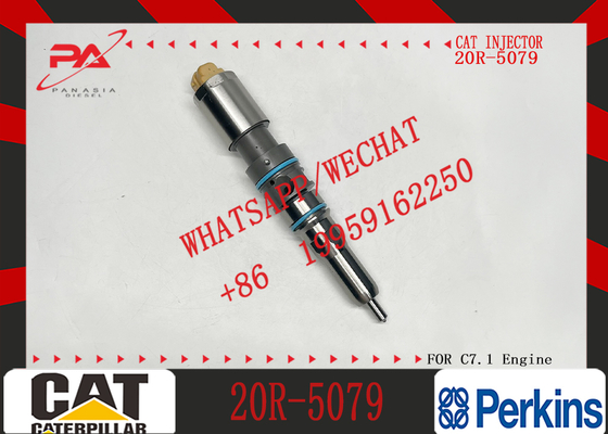 For C-A-T Fuel Injector C9.3 Injector 456-3493 20R-5036 367-4293 20R-5079 for Excavator Engine Inyector De Combustible