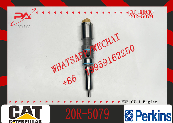 For C-A-T Fuel Injector C9.3 Injector 456-3493 20R-5036 367-4293 20R-5079 for Excavator Engine Inyector De Combustible