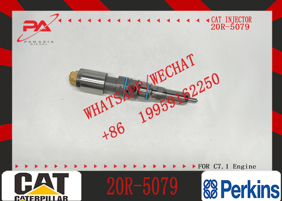 For C-A-T Fuel Injector C9.3 Injector 456-3493 20R-5036 367-4293 20R-5079 for Excavator Engine Inyector De Combustible