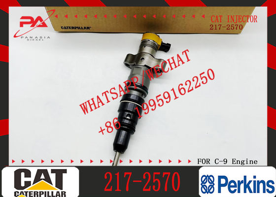 Fuel Injector 217-2570 235-2888 2352888 387-9433 3879433 293-4071 387-9427 3879427 263-8218 2638218 for Caterpillar
