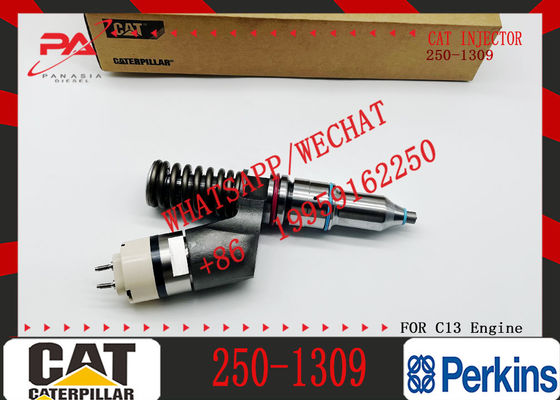 Excavator Inyectores Common Rail Diesel Fuel Injector 2501309 250-1309 10R3258 10R-3258 for Caterpillar Cat C13