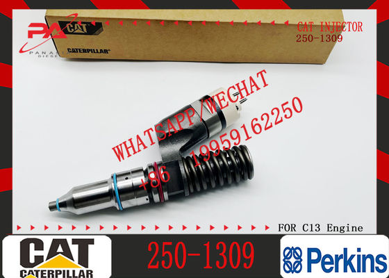 Excavator Inyectores Common Rail Diesel Fuel Injector 2501309 250-1309 10R3258 10R-3258 for Caterpillar Cat C13