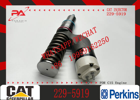 Common Rail Fuel Injector 253-0615 191-3003 10R-8501 211-3027 244-7716 200-1117 229-5919 for Caterpillar C-15 Engine