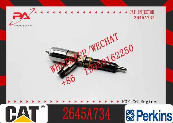 New Quality Manufacturer Diesel Injector 306-9380 2645A734 Engine Fuel Injector for Engine C6.6 924HZ Inyector Injecteur