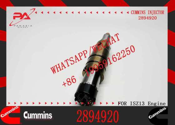 DSGENUINE 5579415 5579417 2894920 2872405 ISX15 CRI D10 ISX XPI diesel Engine Fuel Injector 5579415 5579417 2894920 2872405