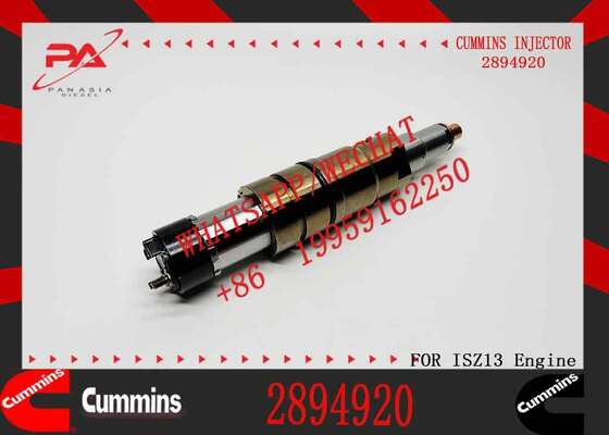 DSGENUINE 5579415 5579417 2894920 2872405 ISX15 CRI D10 ISX XPI diesel Engine Fuel Injector 5579415 5579417 2894920 2872405